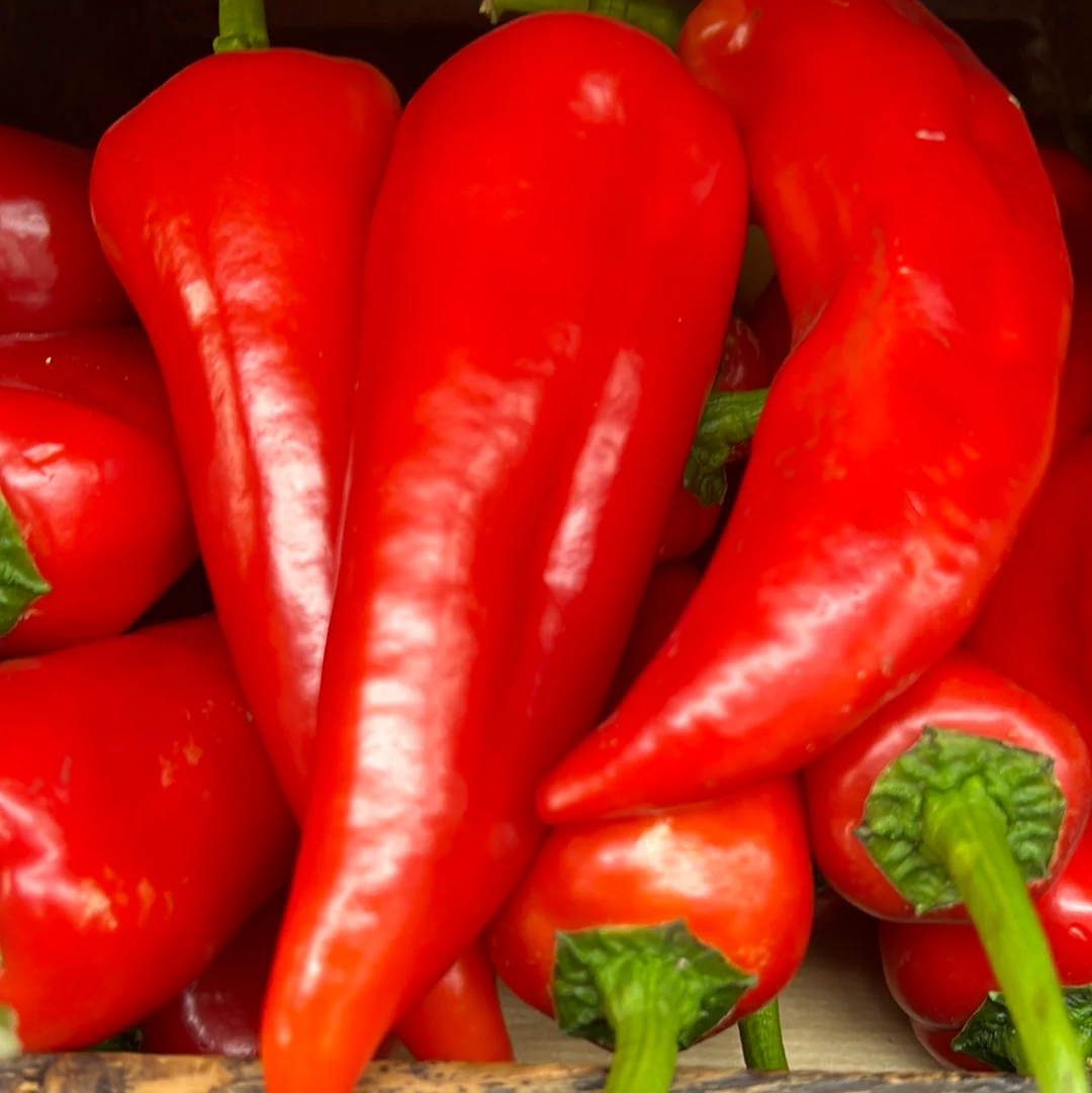 SpiceFarm Commercial Grade Fresh Dried Red Chillies - Extra Large (2kg) - Bag