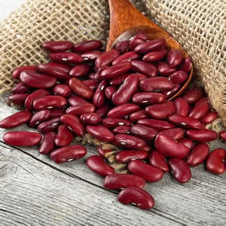 Natural Legumes Grade A Dried Red Beans - Extra Large (5kg) - Pack