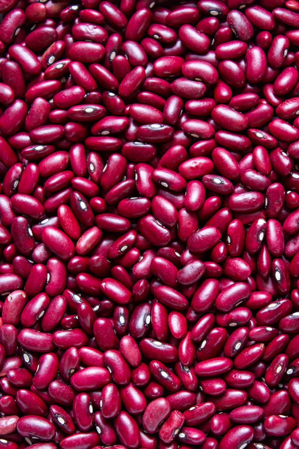 Harvest Direct Grade A Fresh Red Kidney Beans - Large (1kg)