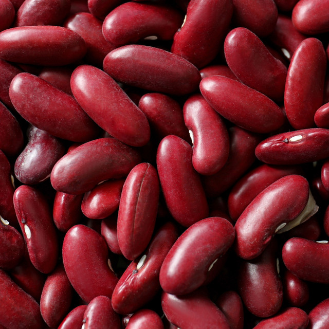 Quality Beans Grade B Premium Red Beans - Extra Large (5kg) - Sack
