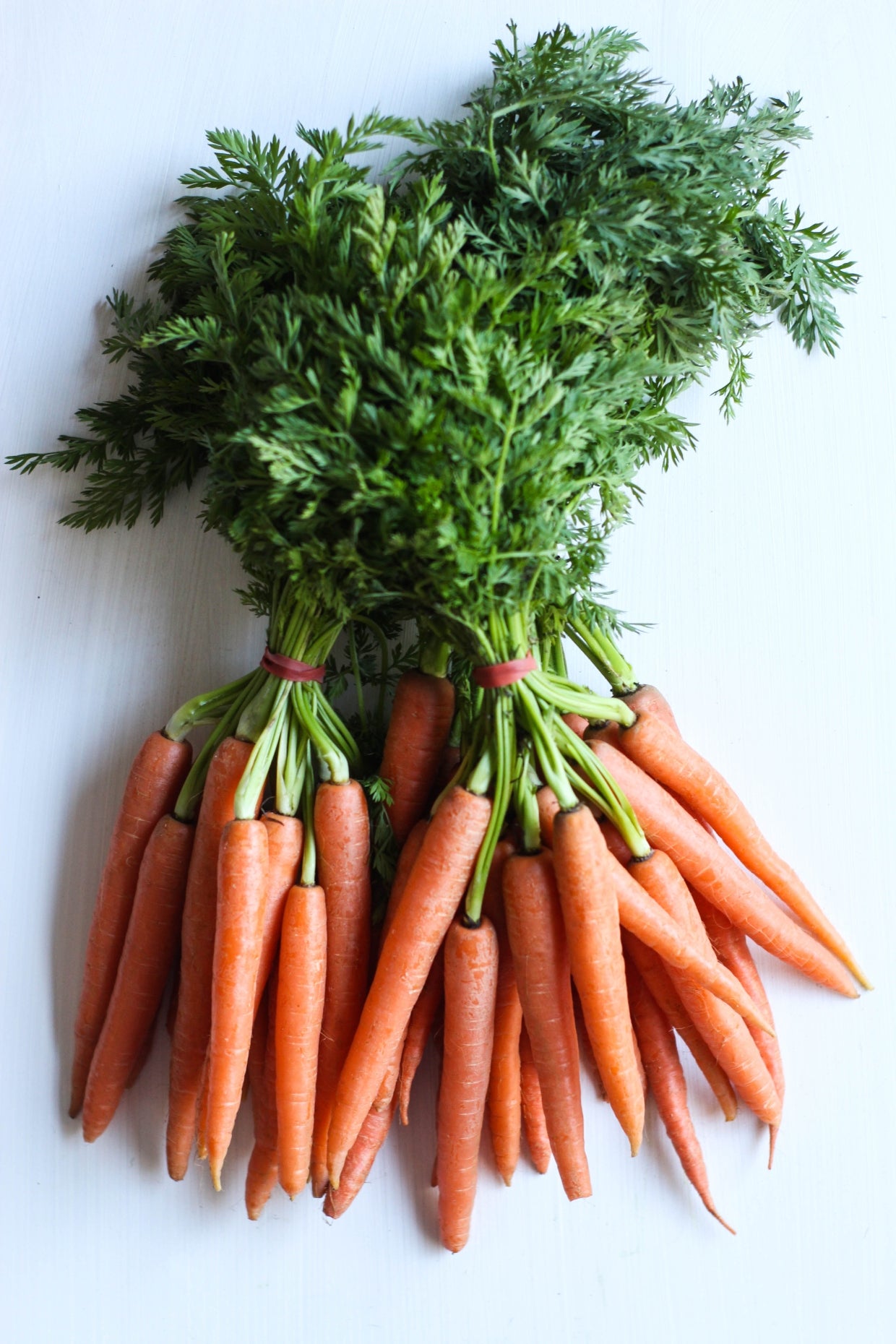 Harvest Direct Grade B Fresh Fresh Carrots - Medium (500g)