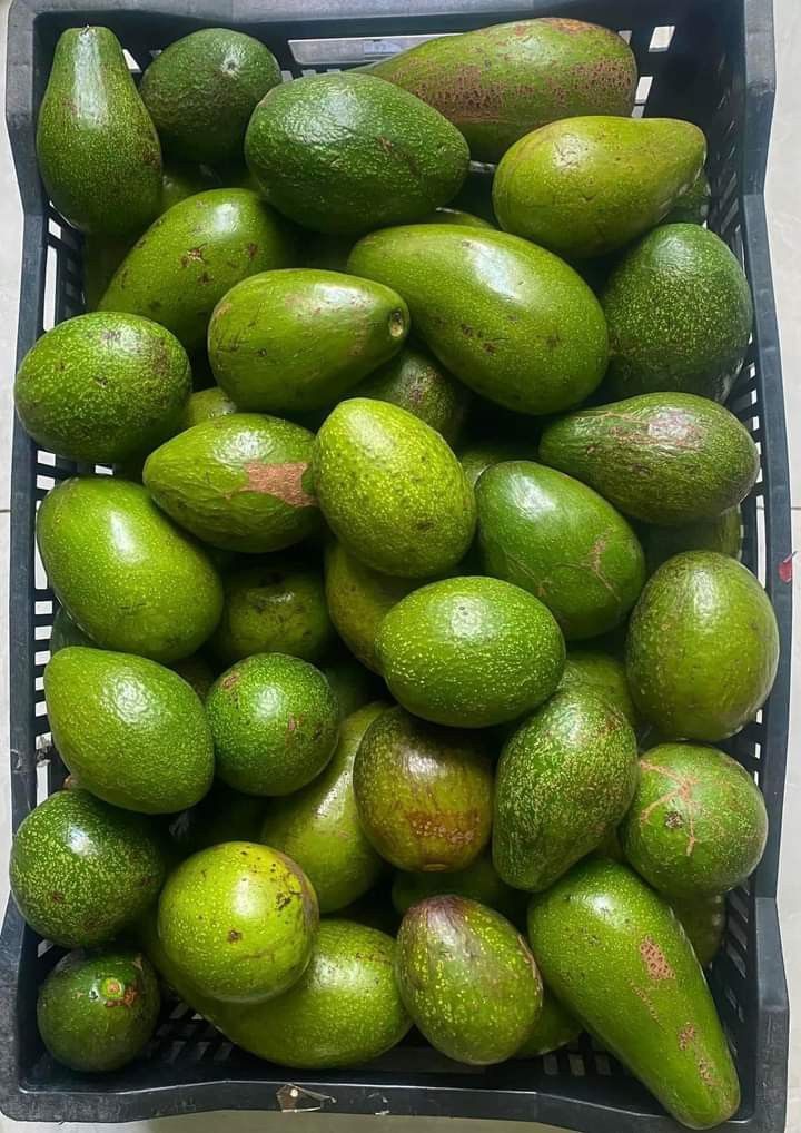 Nature Fresh Grade A Premium Organic Avocado - Small (500g) - Loose