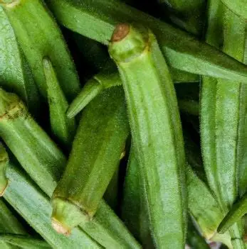 Organic Valley Organic Premium Fresh Fresh Okra - Large (1kg)