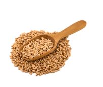 Harvest Direct Organic Premium Fresh Pearl Barley - Large (1kg)