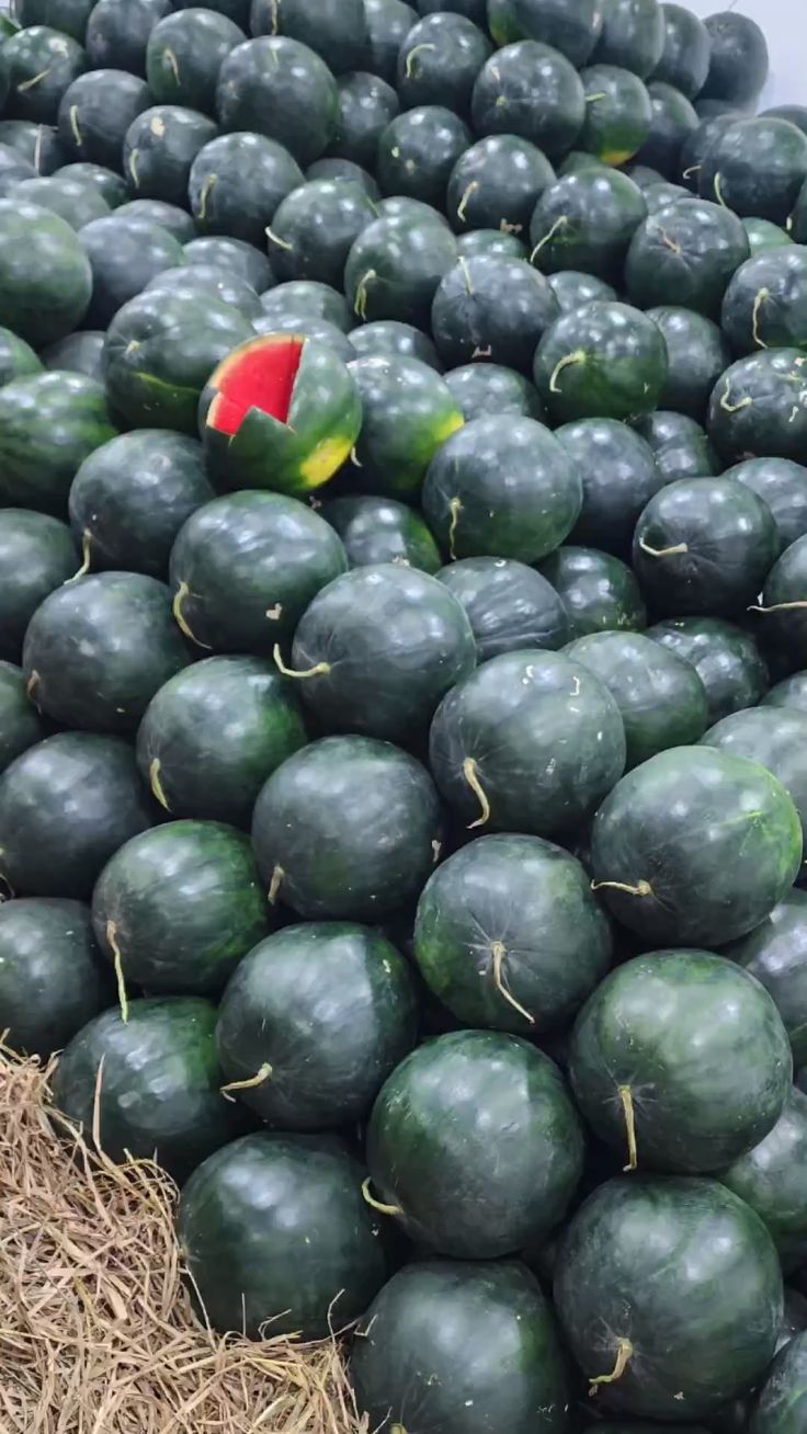 Farm Fresh Organic Fresh Fresh Watermelon - Small (250g)