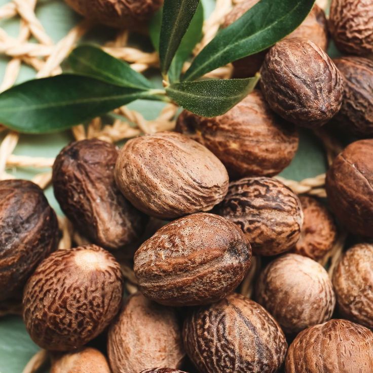 Farm Fresh Grade A Dried Raw Shea Nuts - Large (1kg)