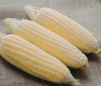 Natural Grains Organic Premium White Maize - Extra Large (10kg) - Bag