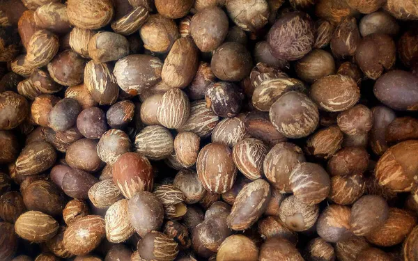 Organic Valley Grade B Premium Raw Shea Nuts - Extra Large (2kg)