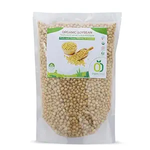 Grade B Organic Raw Soybeans (500g)