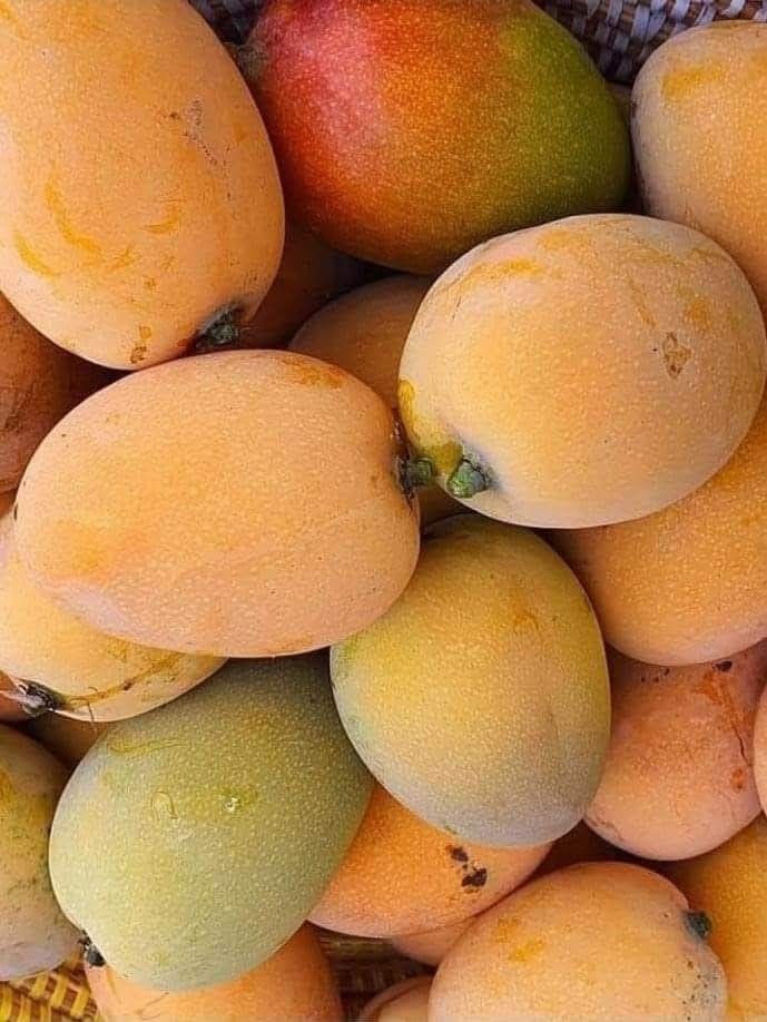 FarmMaster Grade A Organic Fresh Mangoes - Large (1kg)