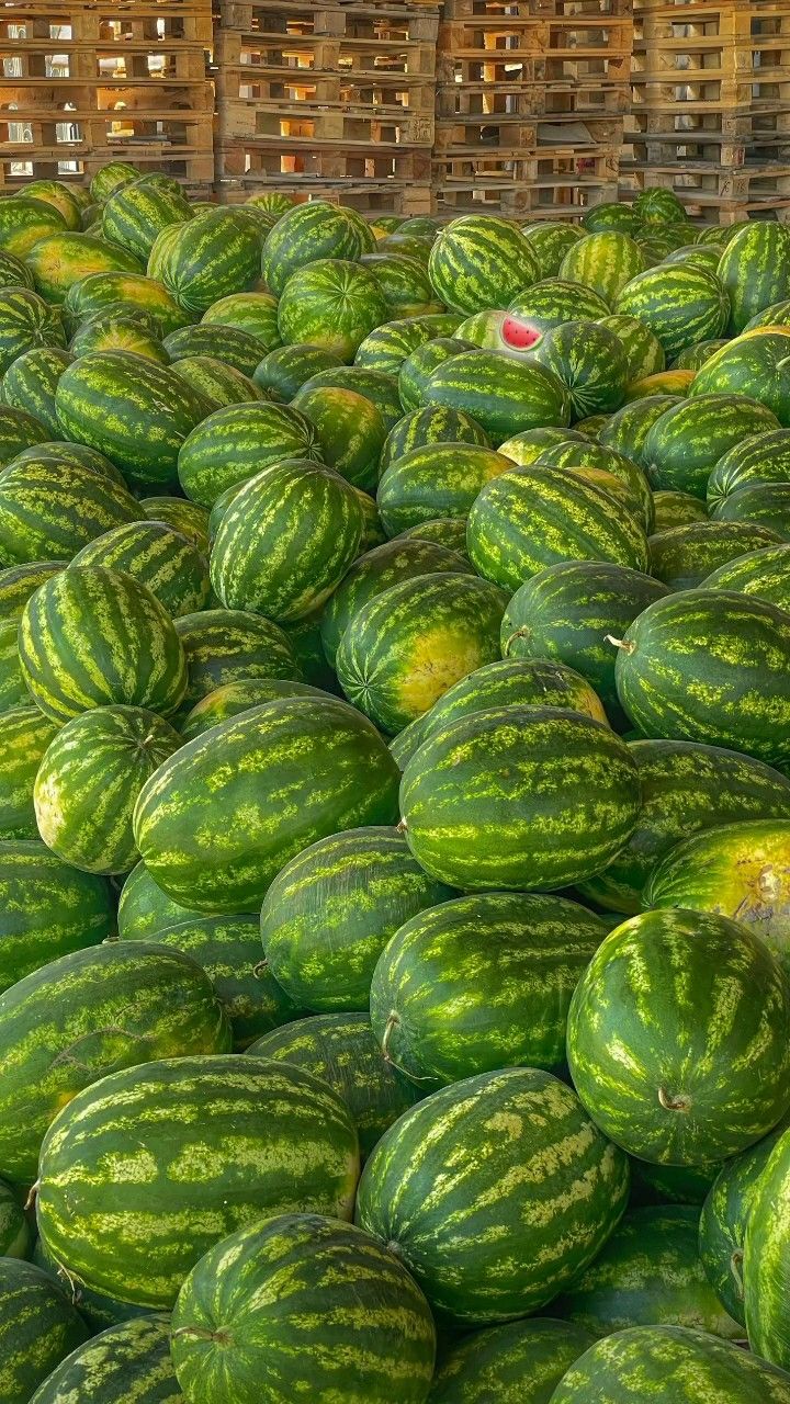 Organic Valley Grade B Organic Fresh Watermelon - Medium (500g)