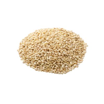 Organic Pearl Barley - Small (250g)