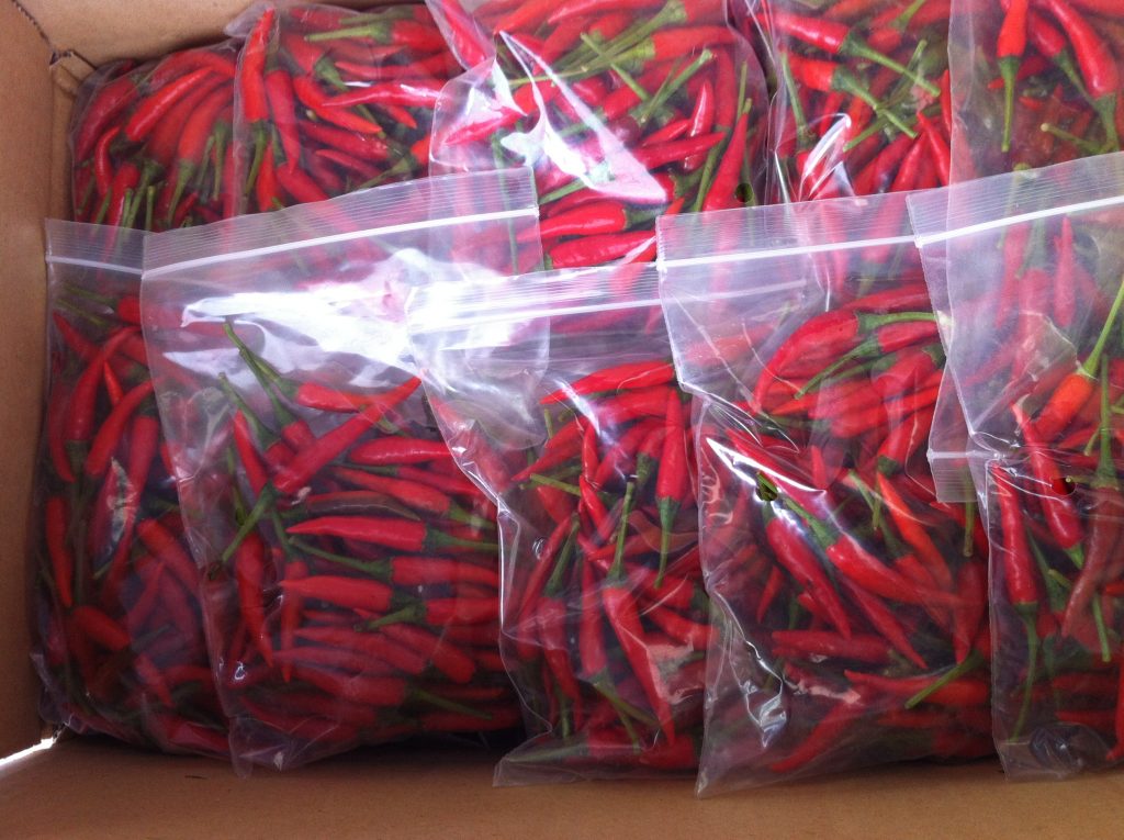 Farm Fresh Grade A Premium Fresh Cayenne Peppers - Medium (500g) - Bag