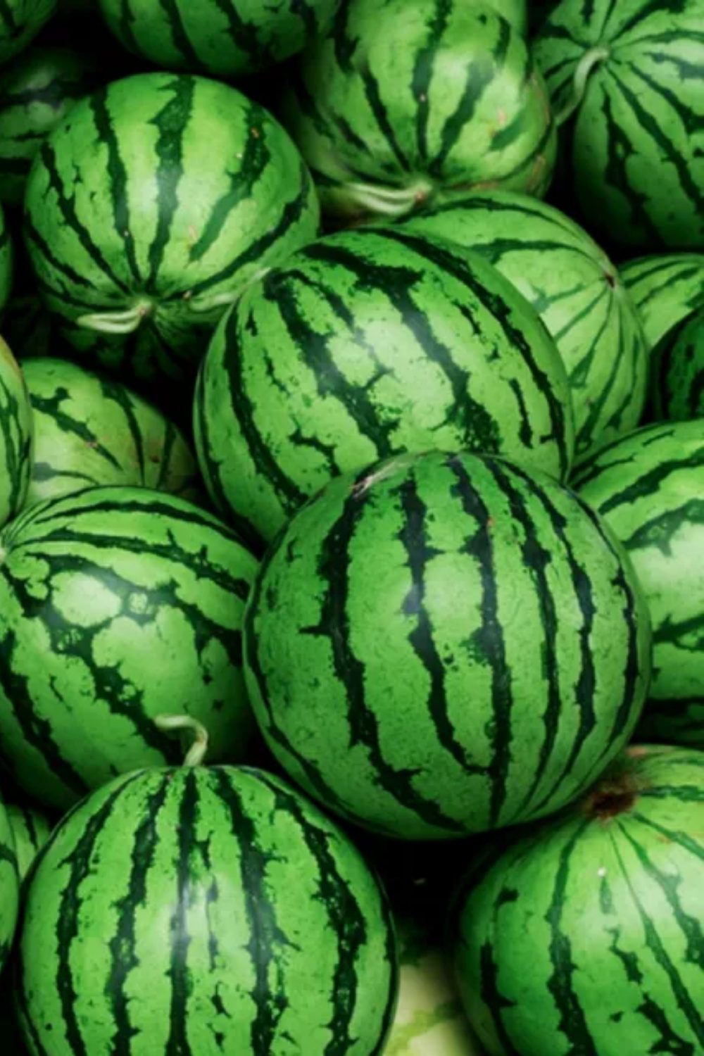 Premium Produce Grade B Farm Fresh Fresh Watermelon - Large (1kg)