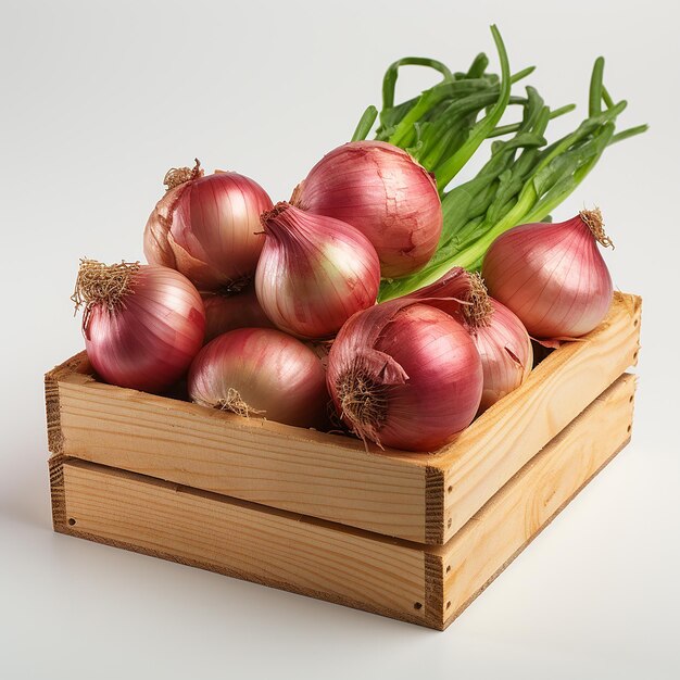 FreshFarm Grade A Organic Red Onions - Small (500g) - Bulk
