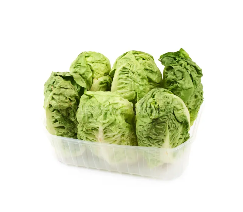 Farm Fresh Grade B Dried Iceberg Lettuce - Extra Large (2kg)