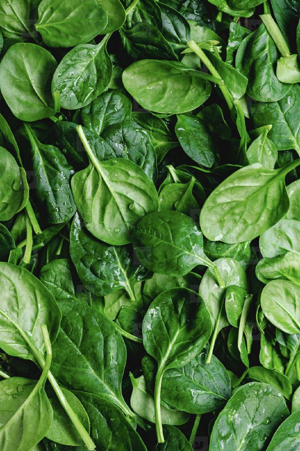 Premium Spinach