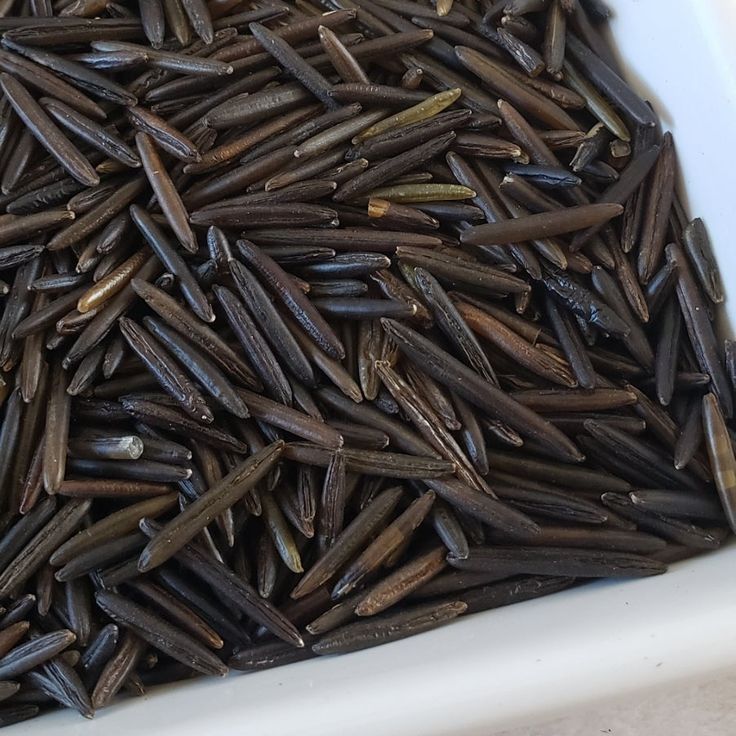 Wild Rice Choice