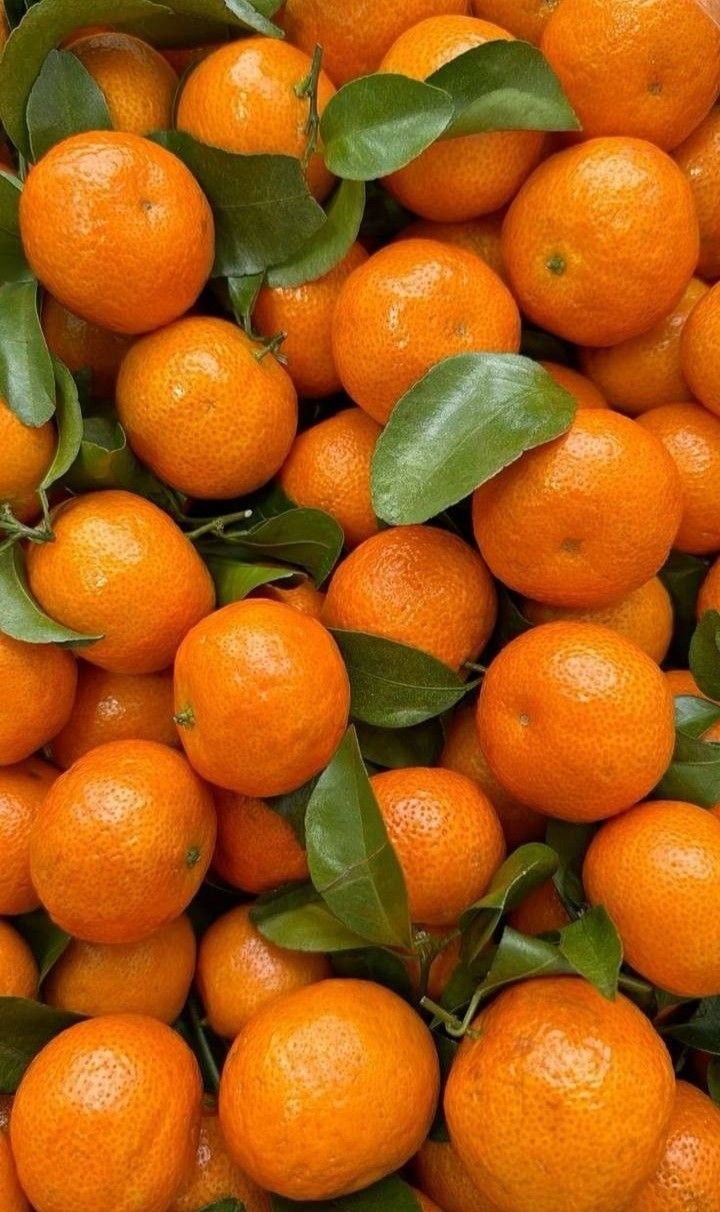 Premium Oranges