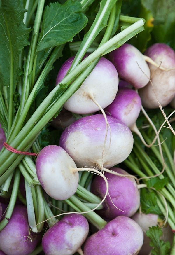 Premium Turnips