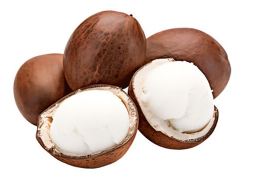 Shea Nuts
