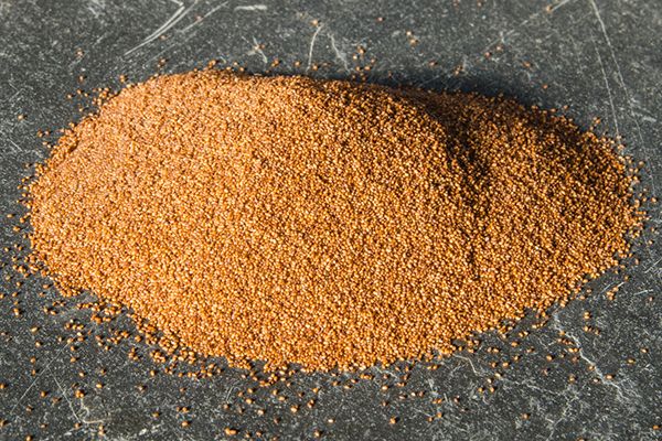 Frozen Teff Species
