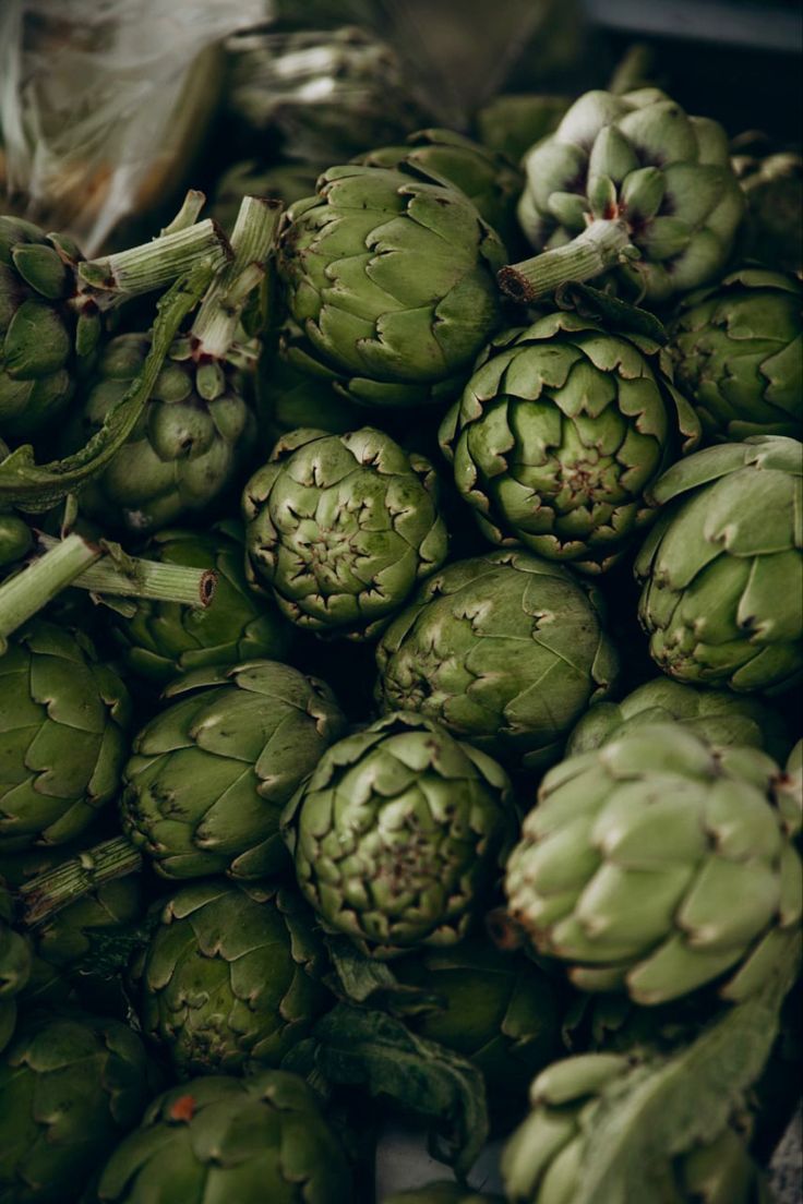 Artichokes Choice