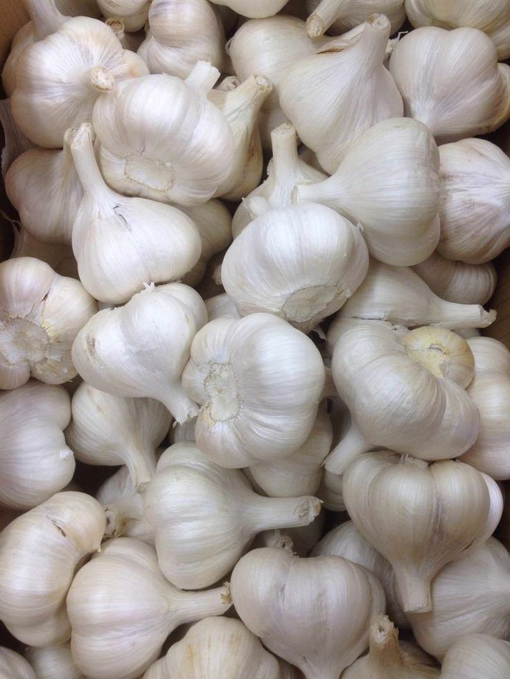 Garlic - Dried 3