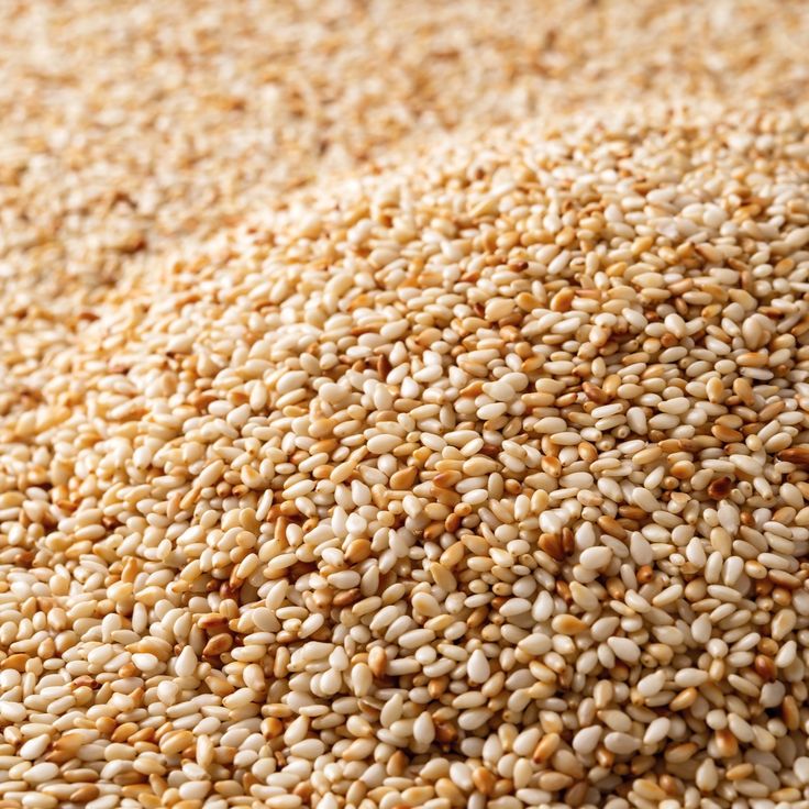 Premium Sesame Seeds