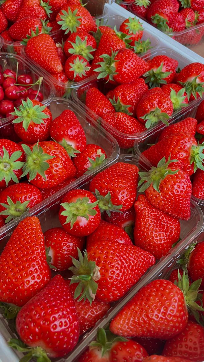 Premium Strawberries