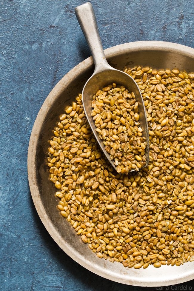 Frozen Freekeh Species