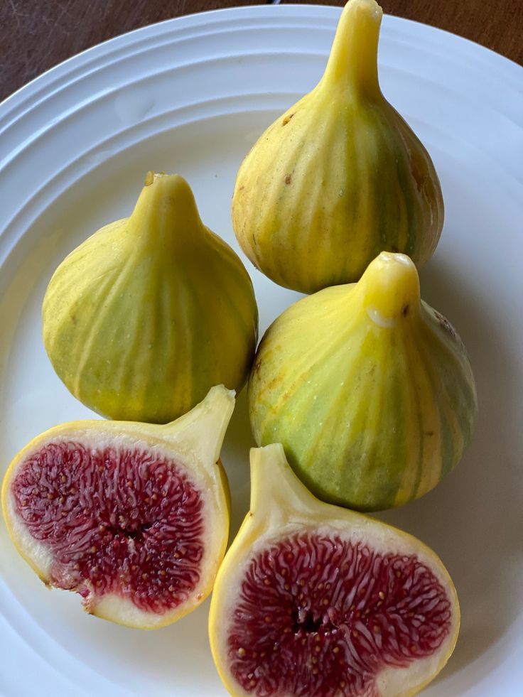 Frozen Figs Species